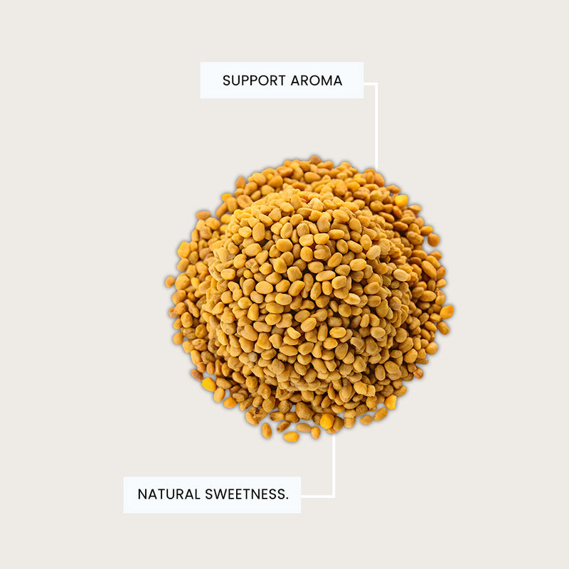 Fenugreek Seed Extract (Trigonella foenum-graecum)