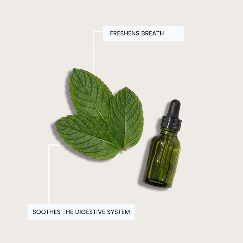 Organic Peppermint Leaf