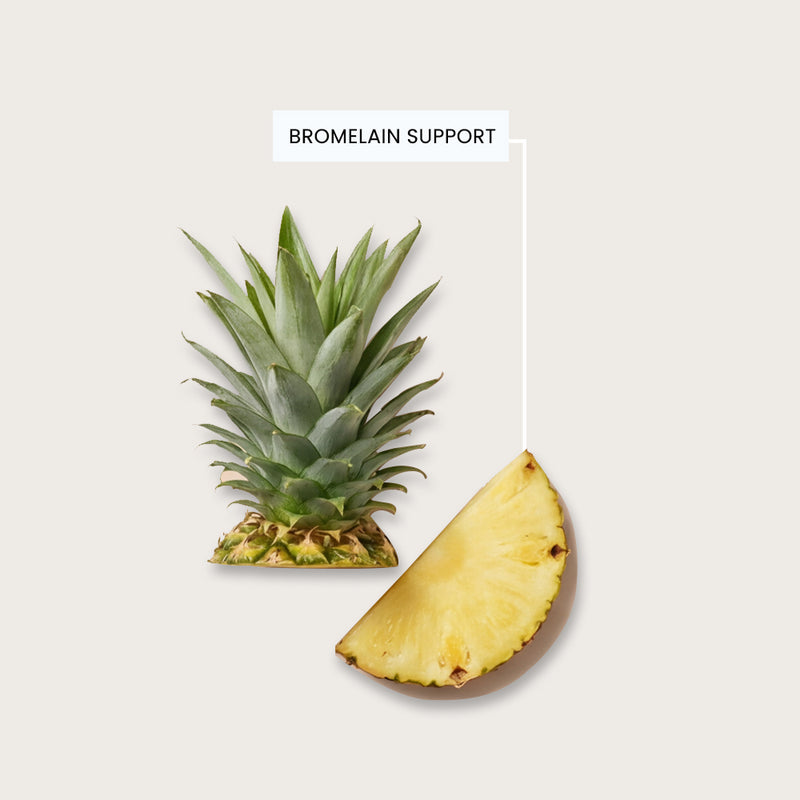 Pineapple Fruit Powder (Ananas comosus)