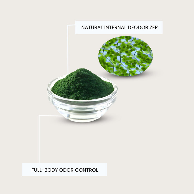 Sodium Copper Chlorophyllin